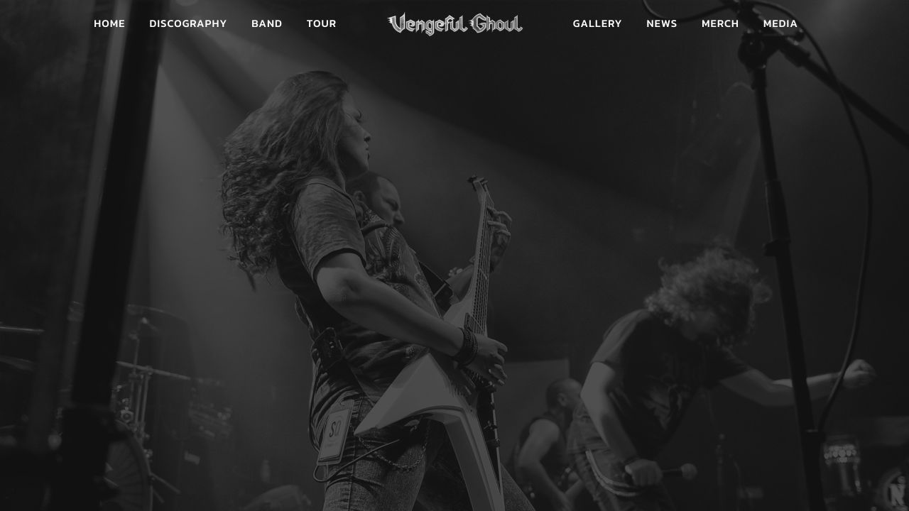 VengefulGhoul website after recovery